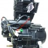Двигатель в сборе 4Т 166FMM (CBB250) 223см3 (МКПП)